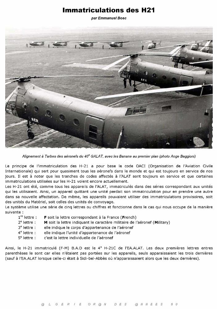 610 VERTOL H-21C BANANE VOLANTE 1-5 (29).jpg